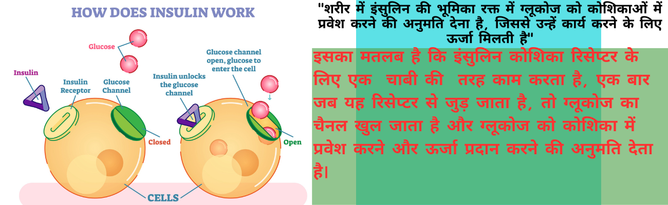 Diabetes Symptoms and Reversal | मधुमेह के लक्षण और उपचार